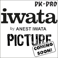 IWATA-Feder für Kuston HP-TR-(I 770 3)